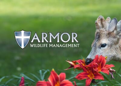 Armor Wildlife Management