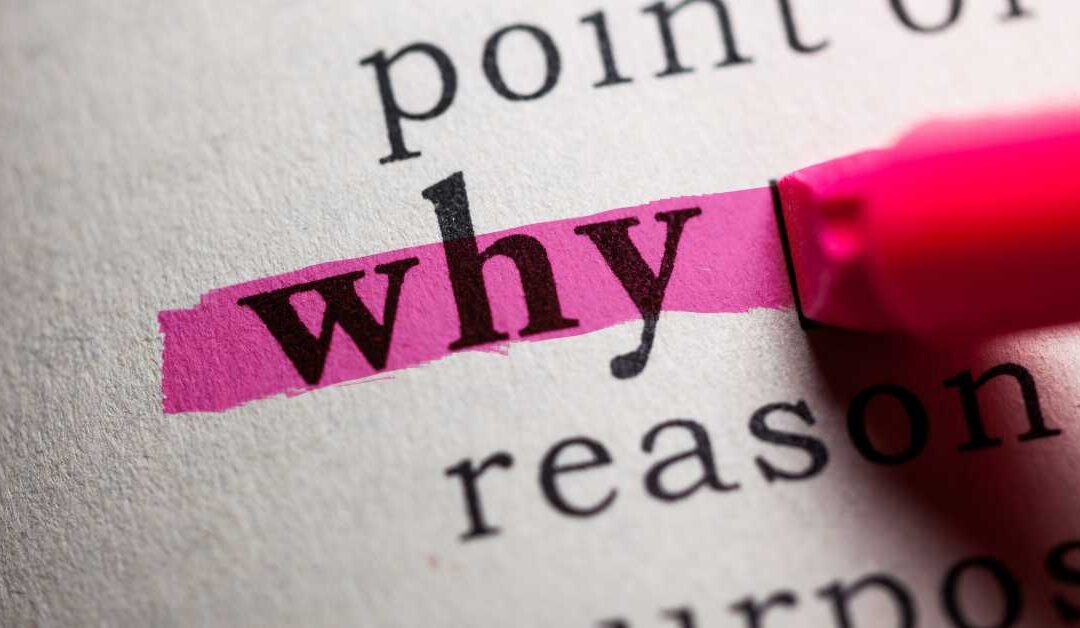 Start with Why: How Your Small Business Website Should Communicate Your Purpose