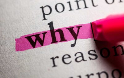 Start with Why: How Your Small Business Website Should Communicate Your Purpose