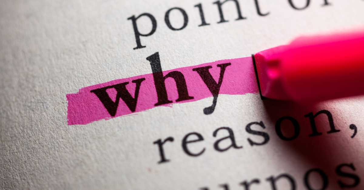 Start with Why: How Your Small Business Website Should Communicate Your Purpose